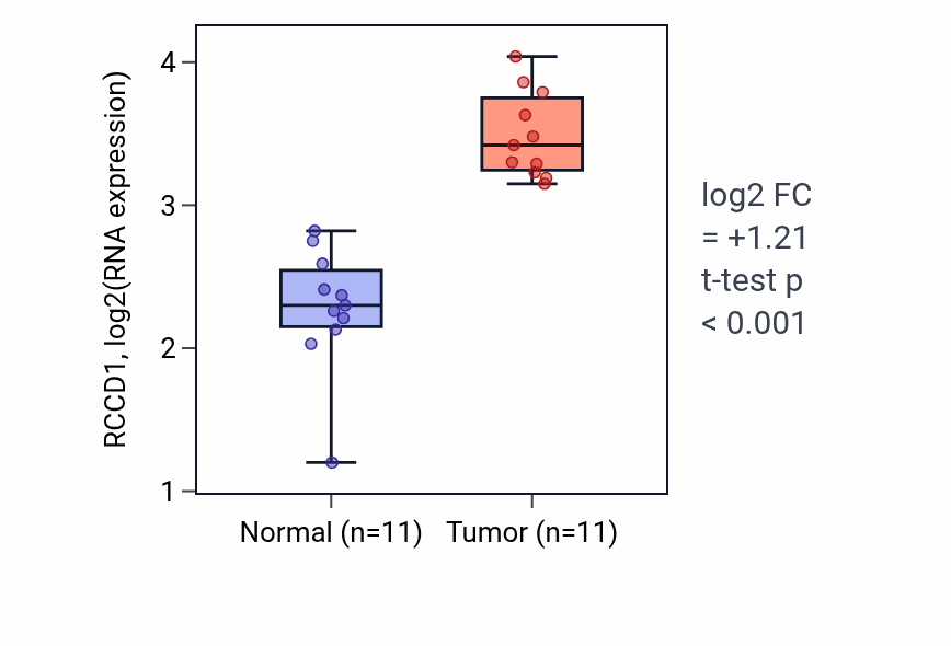 Tumor-vs-normal expression box plot for RCCD1 RNA in HNSC.