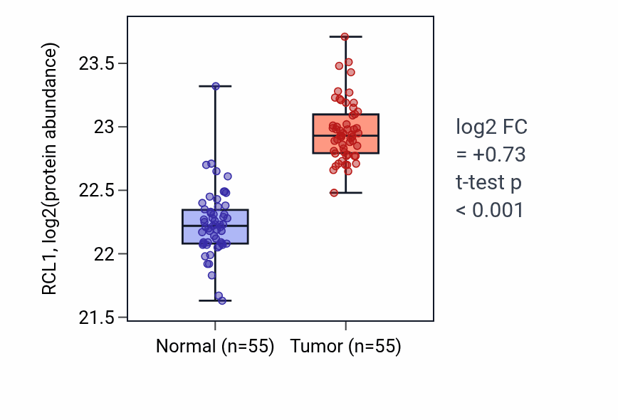 Tumor-vs-normal mass-spec protein box plot for RCL1 in COAD.
