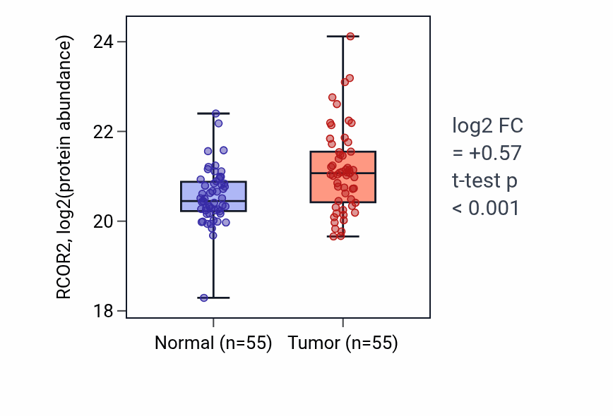 Tumor-vs-normal mass-spec protein box plot for RCOR2 in LSCC.