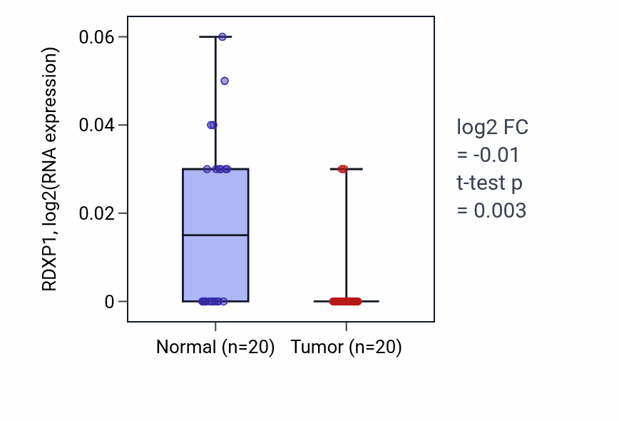 Tumor-vs-normal expression box plot for RDXP1 in KIRC.