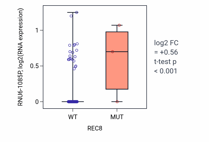 Box plot of RNU6-1085P in REC8-low vs REC8-high samples in HNSC.