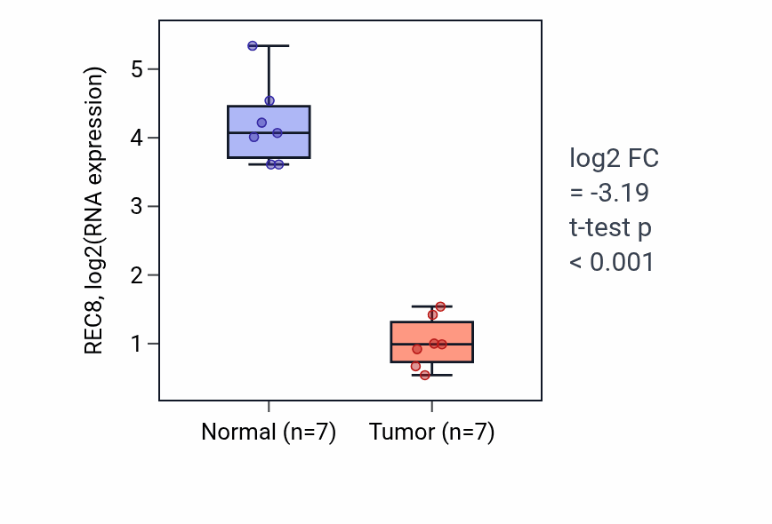 Tumor-vs-normal expression box plot for REC8 RNA in KICH.