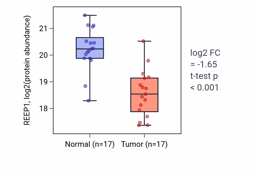 Tumor-vs-normal mass-spec protein box plot for REEP1 in COAD.
