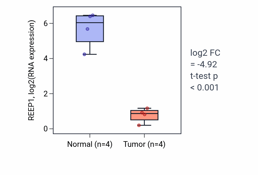 Tumor-vs-normal expression box plot for REEP1 RNA in BLCA.