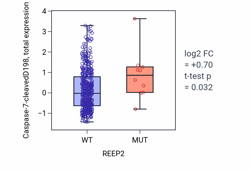 Box plot of Caspase-7-cleavedD198 in REEP2-low vs REEP2-high samples in UCEC.