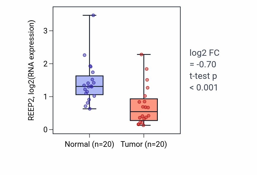 Tumor-vs-normal expression box plot for REEP2 RNA in KIRC.
