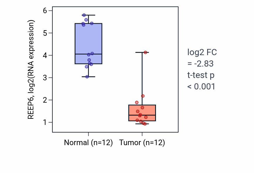 Tumor-vs-normal expression box plot for REEP6 RNA in KIRC.