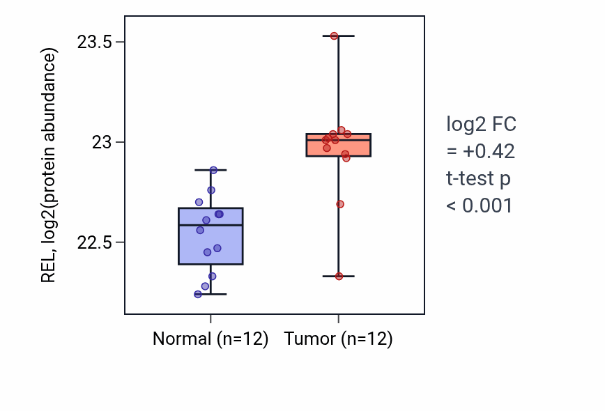 Tumor-vs-normal mass-spec protein box plot for REL in CCRCC.