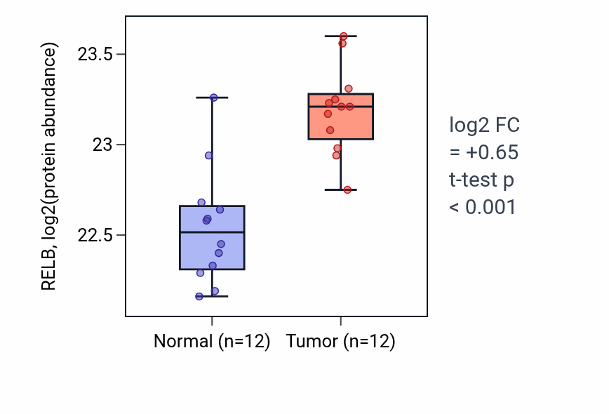 Tumor-vs-normal mass-spec protein box plot for RELB in CCRCC.