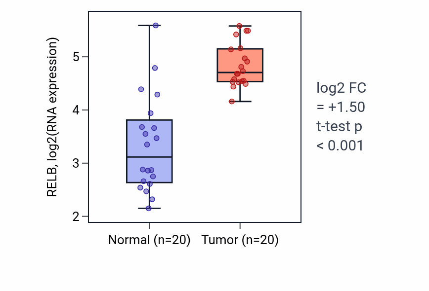 Tumor-vs-normal expression box plot for RELB RNA in KIRC.