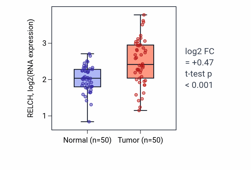 Tumor-vs-normal expression box plot for RELCH RNA in LIHC.