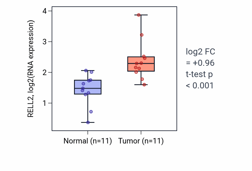 Tumor-vs-normal expression box plot for RELL2 RNA in HNSC.