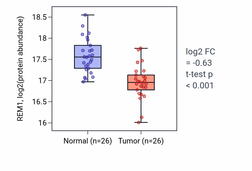Tumor-vs-normal mass-spec protein box plot for REM1 in HNSC.