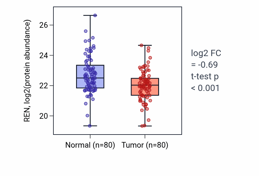 Tumor-vs-normal mass-spec protein box plot for REN in CCRCC.