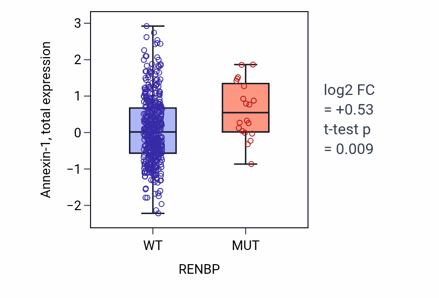 Box plot of Annexin-1 in RENBP-low vs RENBP-high samples in UCEC.