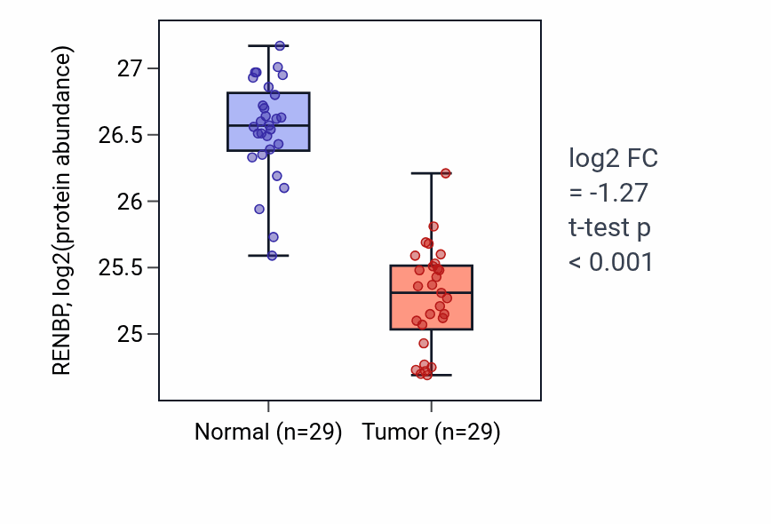 Tumor-vs-normal mass-spec protein box plot for RENBP in CCRCC.