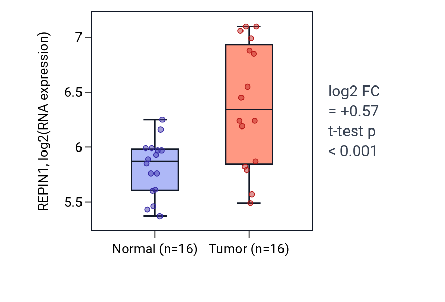Tumor-vs-normal expression box plot for REPIN1 in KIRP.