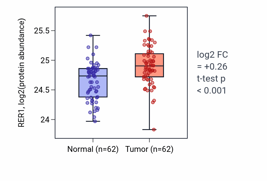 Tumor-vs-normal mass-spec protein box plot for RER1 in HNSC.