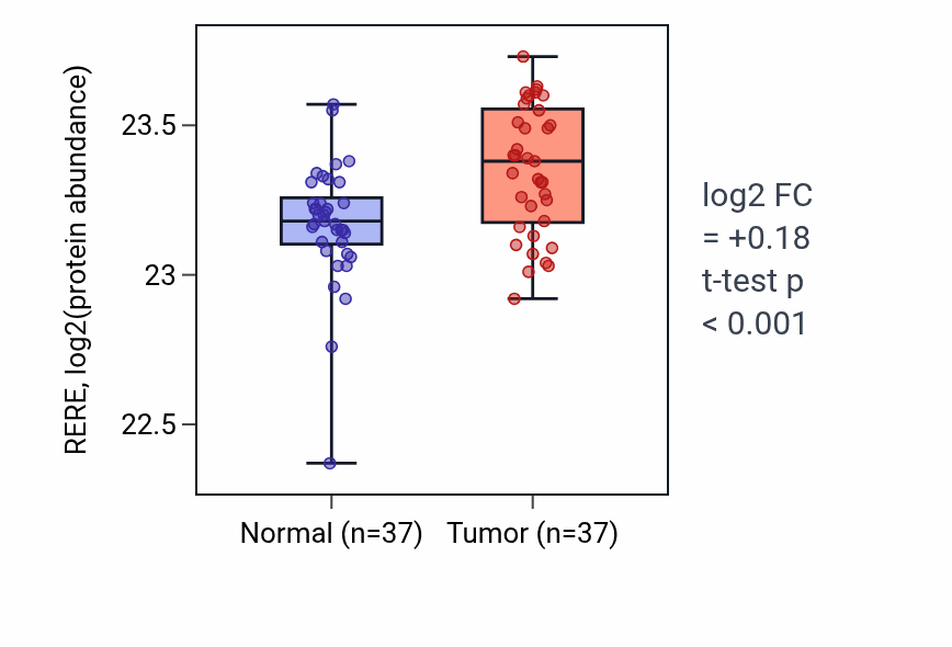 Tumor-vs-normal mass-spec protein box plot for RERE in LUAD.