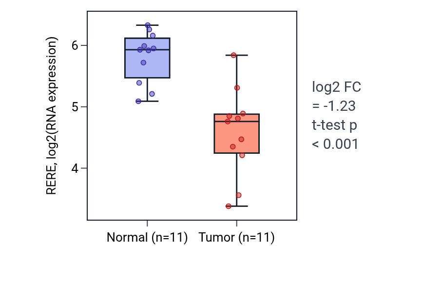 Tumor-vs-normal expression box plot for RERE RNA in KICH.