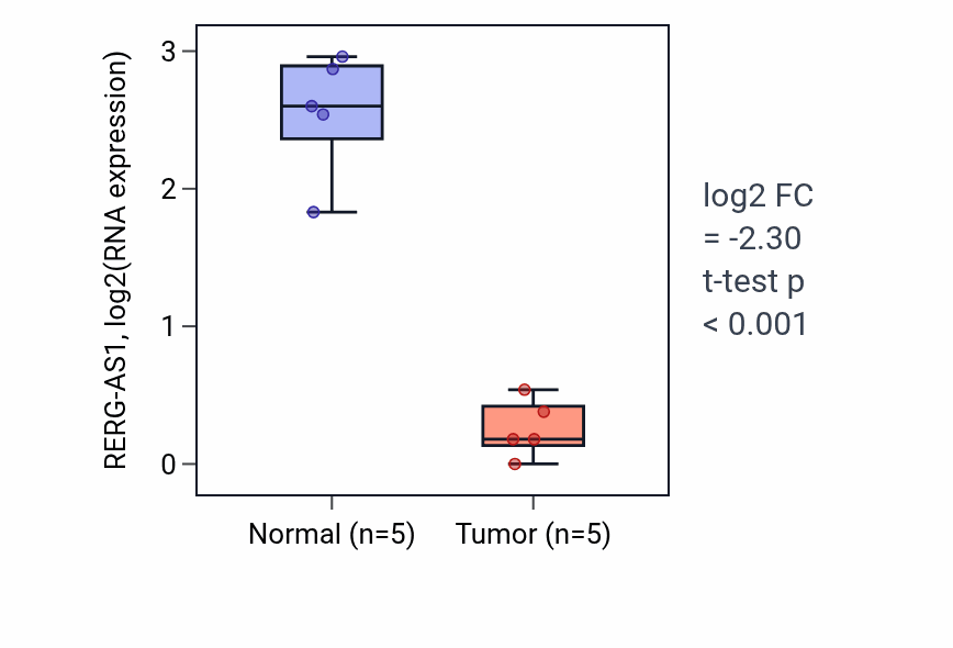 Tumor-vs-normal expression box plot for RERG-AS1 in KIRP.