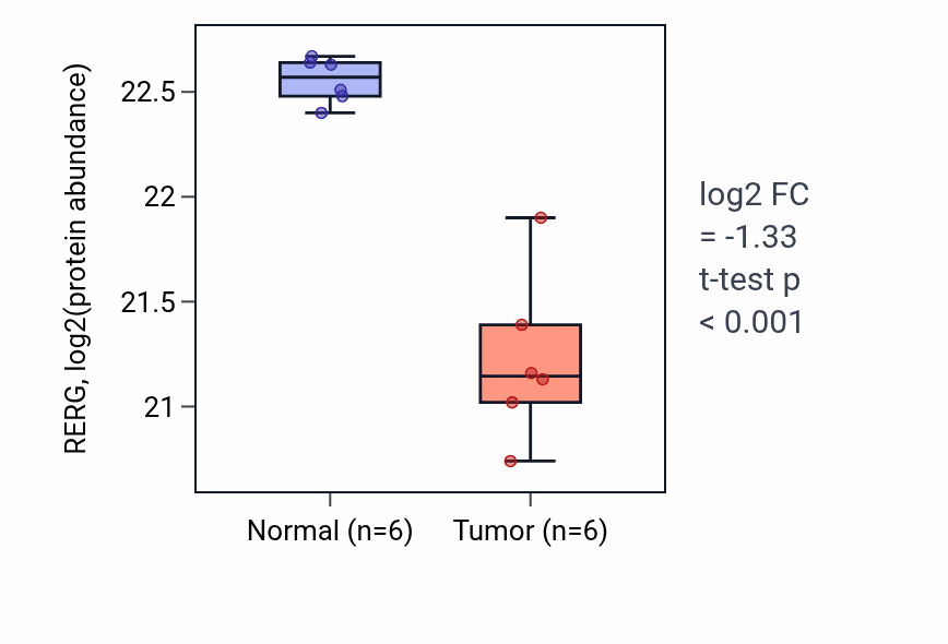 Tumor-vs-normal mass-spec protein box plot for RERG in LUAD.