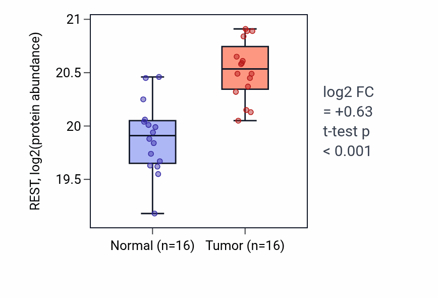Tumor-vs-normal mass-spec protein box plot for REST in LUAD.