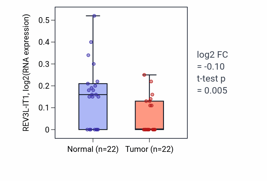 Tumor-vs-normal expression box plot for REV3L-IT1 in KICH.