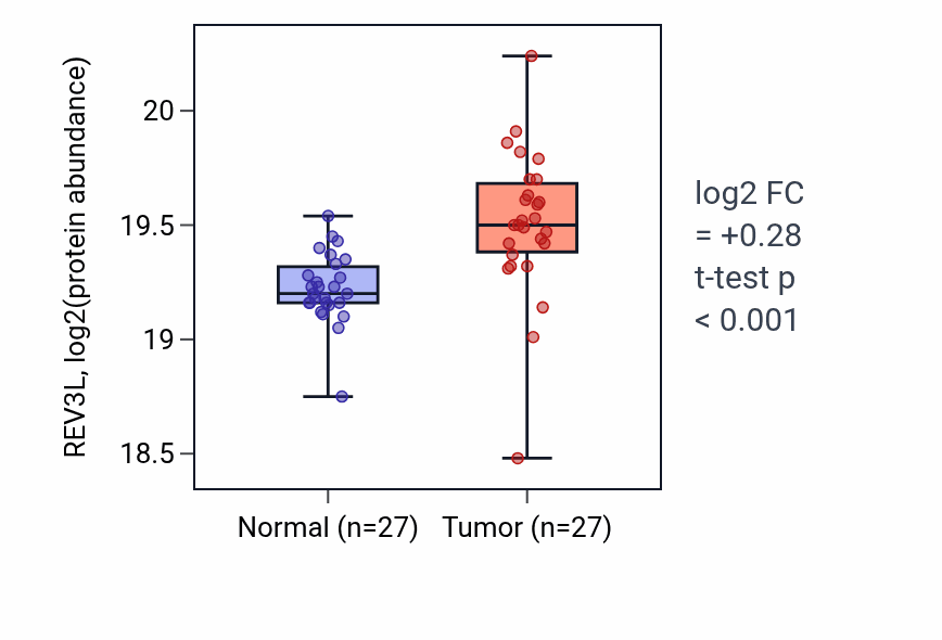 Tumor-vs-normal mass-spec protein box plot for REV3L in CCRCC.