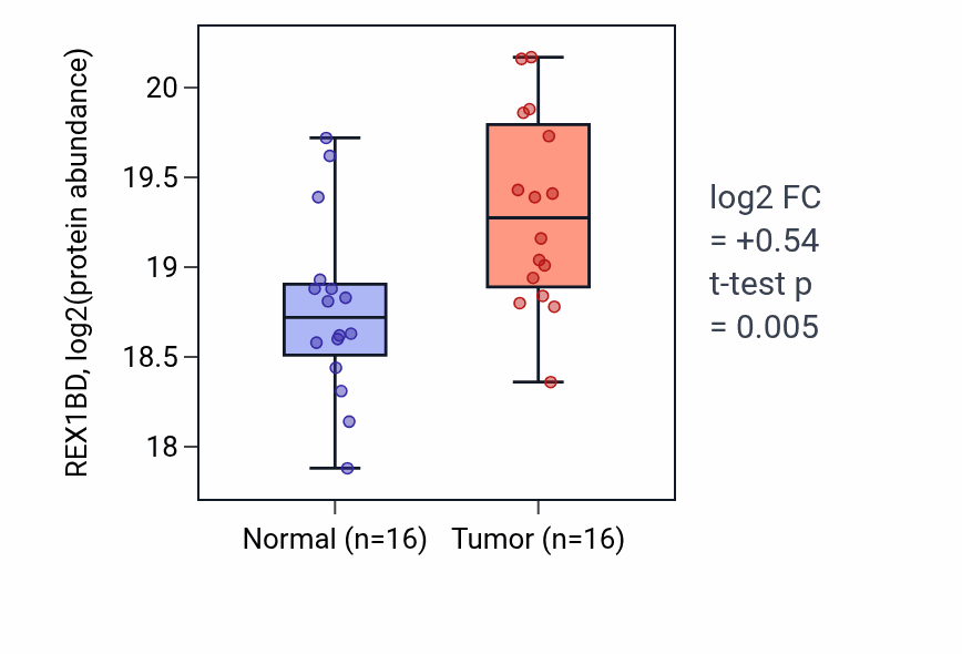 Tumor-vs-normal mass-spec protein box plot for REX1BD in HNSC.