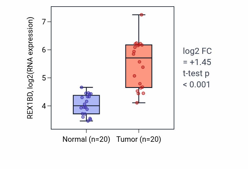 Tumor-vs-normal expression box plot for REX1BD RNA in COAD.