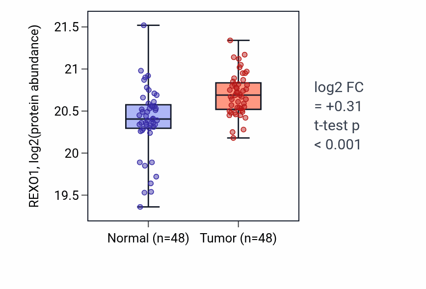 Tumor-vs-normal mass-spec protein box plot for REXO1 in LSCC.