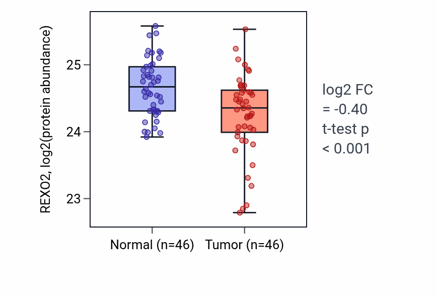 Tumor-vs-normal mass-spec protein box plot for REXO2 in COAD.