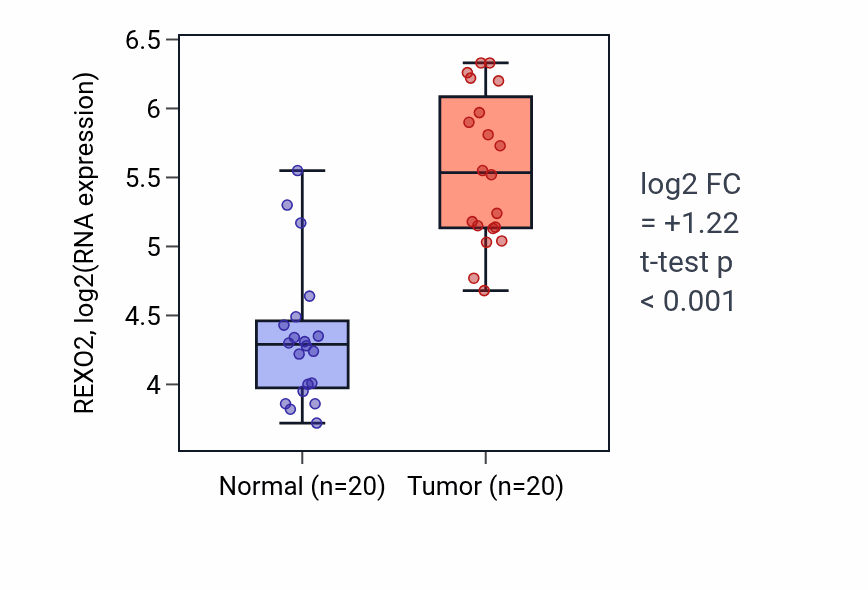 Tumor-vs-normal expression box plot for REXO2 RNA in COAD.
