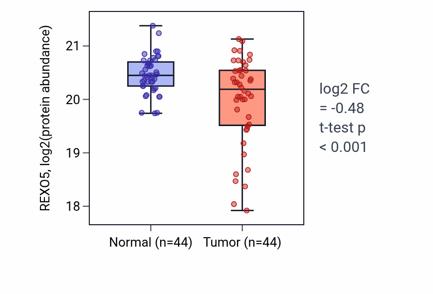 Tumor-vs-normal mass-spec protein box plot for REXO5 in HNSC.