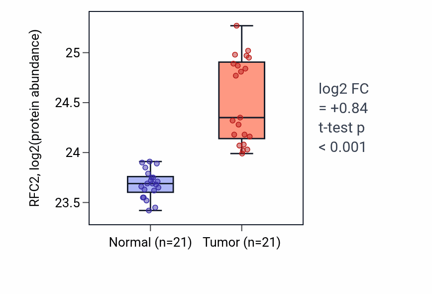 Tumor-vs-normal mass-spec protein box plot for RFC2 in HNSC.