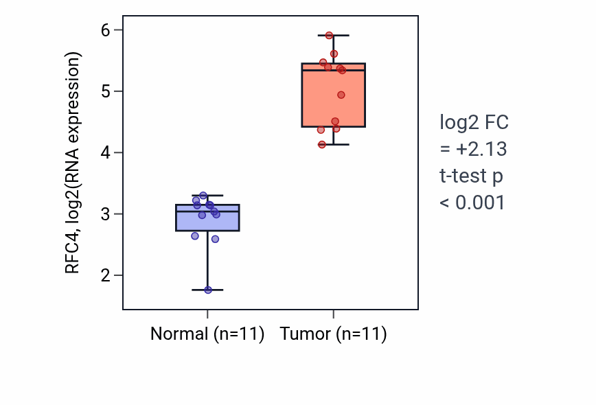 Tumor-vs-normal expression box plot for RFC4 RNA in HNSC.