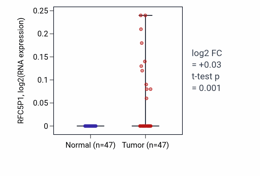Tumor-vs-normal expression box plot for RFC5P1 RNA in KIRC.