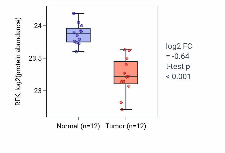 Tumor-vs-normal mass-spec protein box plot for RFK in CCRCC.