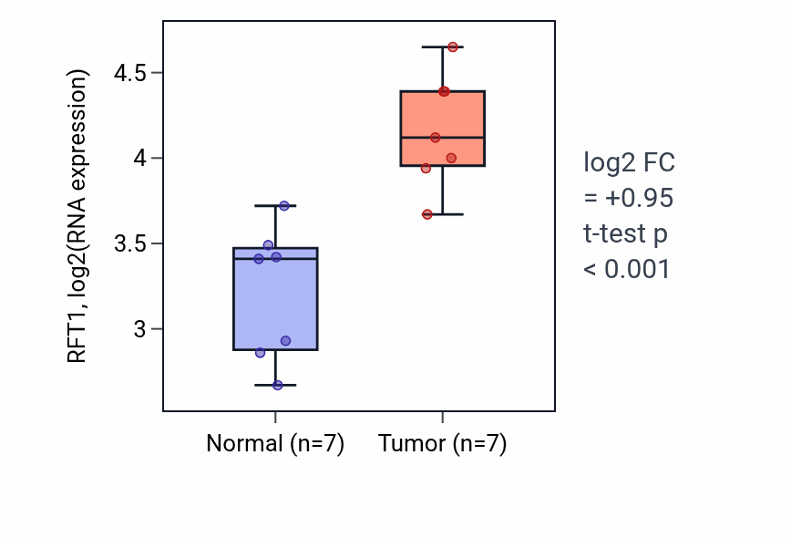 Tumor-vs-normal expression box plot for RFT1 RNA in BLCA.