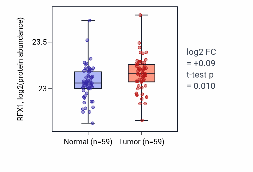 Tumor-vs-normal mass-spec protein box plot for RFX1 in HNSC.