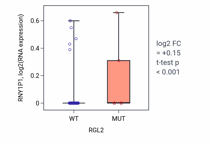 Box plot of RNY1P1 in RGL2-low vs RGL2-high samples in CESC.