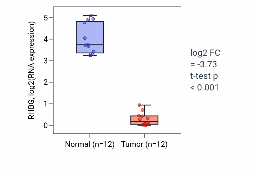 Tumor-vs-normal expression box plot for RHBG RNA in KIRC.