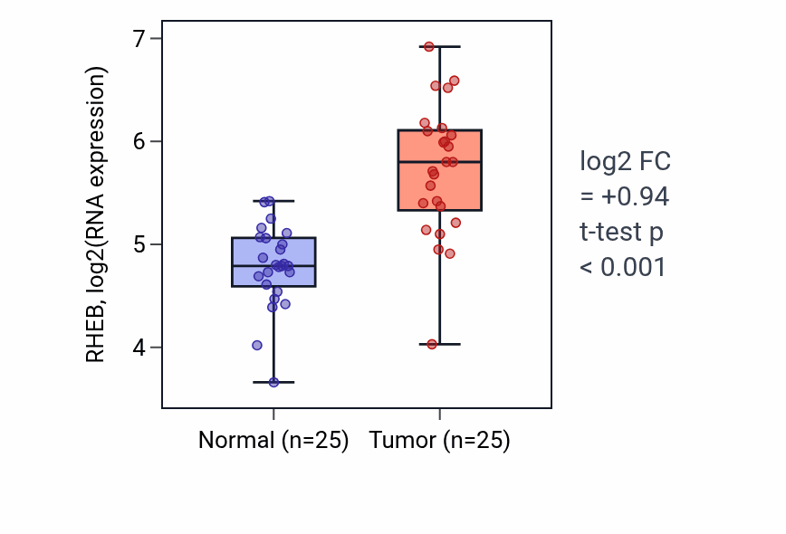 Tumor-vs-normal expression box plot for RHEB RNA in HNSC.