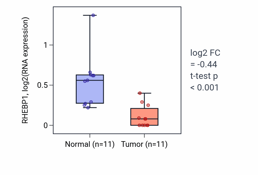 Tumor-vs-normal expression box plot for RHEBP1 in KICH.