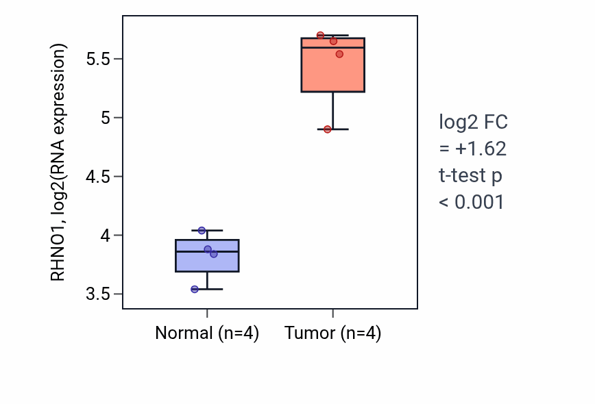 Tumor-vs-normal expression box plot for RHNO1 RNA in KIRP.