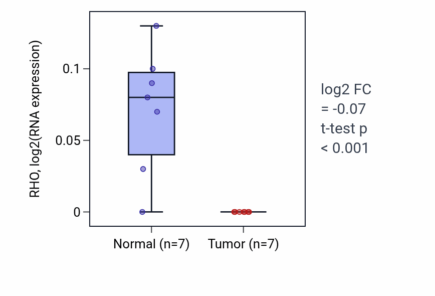 Tumor-vs-normal expression box plot for RHO RNA in KICH.