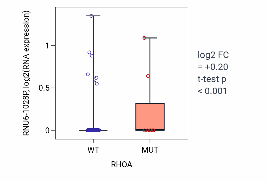 Box plot of RNU6-1028P in RHOA-low vs RHOA-high samples in HNSC.