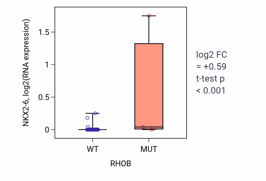 Box plot of NKX2-6 in RHOB-low vs RHOB-high samples in BLOOD_Leukemia.