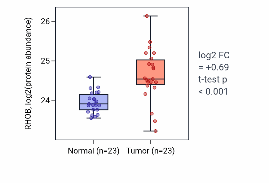 Tumor-vs-normal mass-spec protein box plot for RHOB in HNSC.